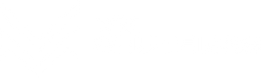 Loja VM Chuteiras